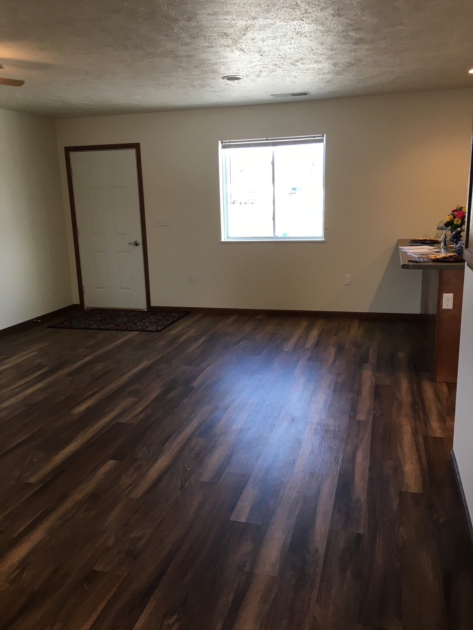 Livingroom - 509 4th N St