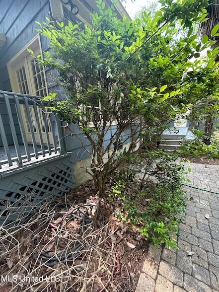 Building Photo - 3564 Cowan Pl