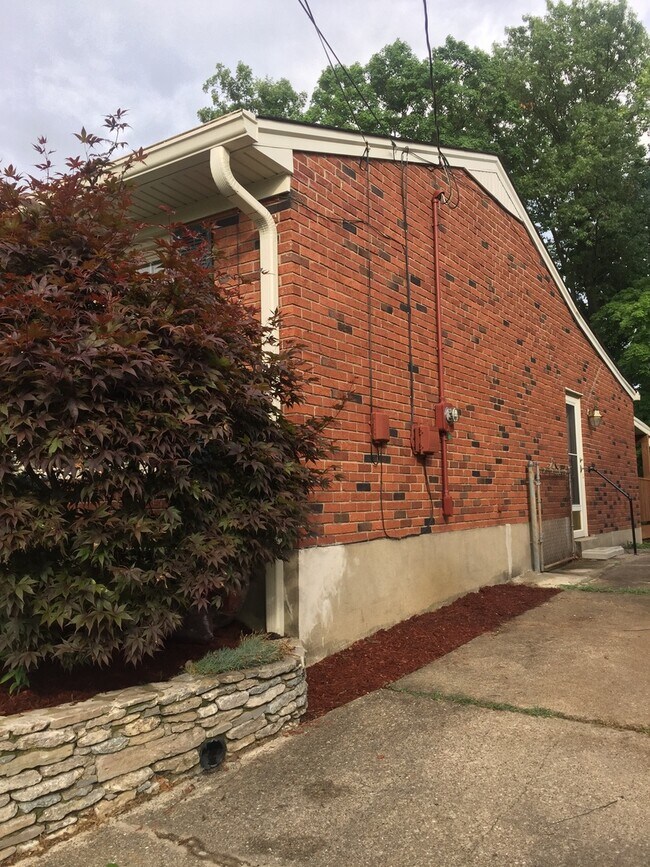 Building Photo - 3BR/1BA