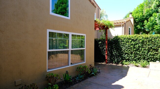 Backyard - 23057 Park Dulce