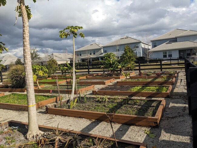 Building Photo - 11716 Language Wy