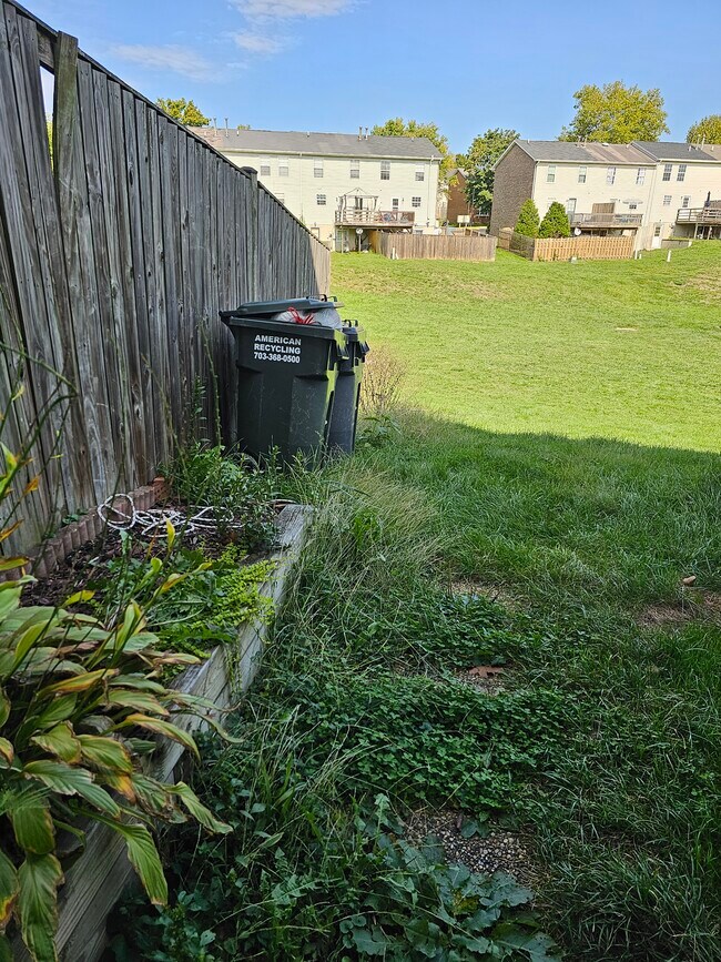 Back yard - 130 Little River Dr