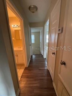 Building Photo - 9916 Sweepstakes Ln