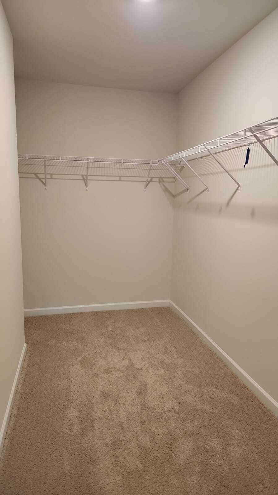 Building Photo - 1479 Amberview Ln