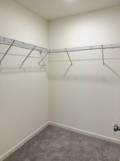 Building Photo - 2429 Brookville Dr