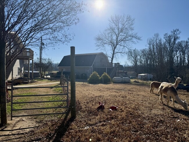 Building Photo - 3521 Mint Rd