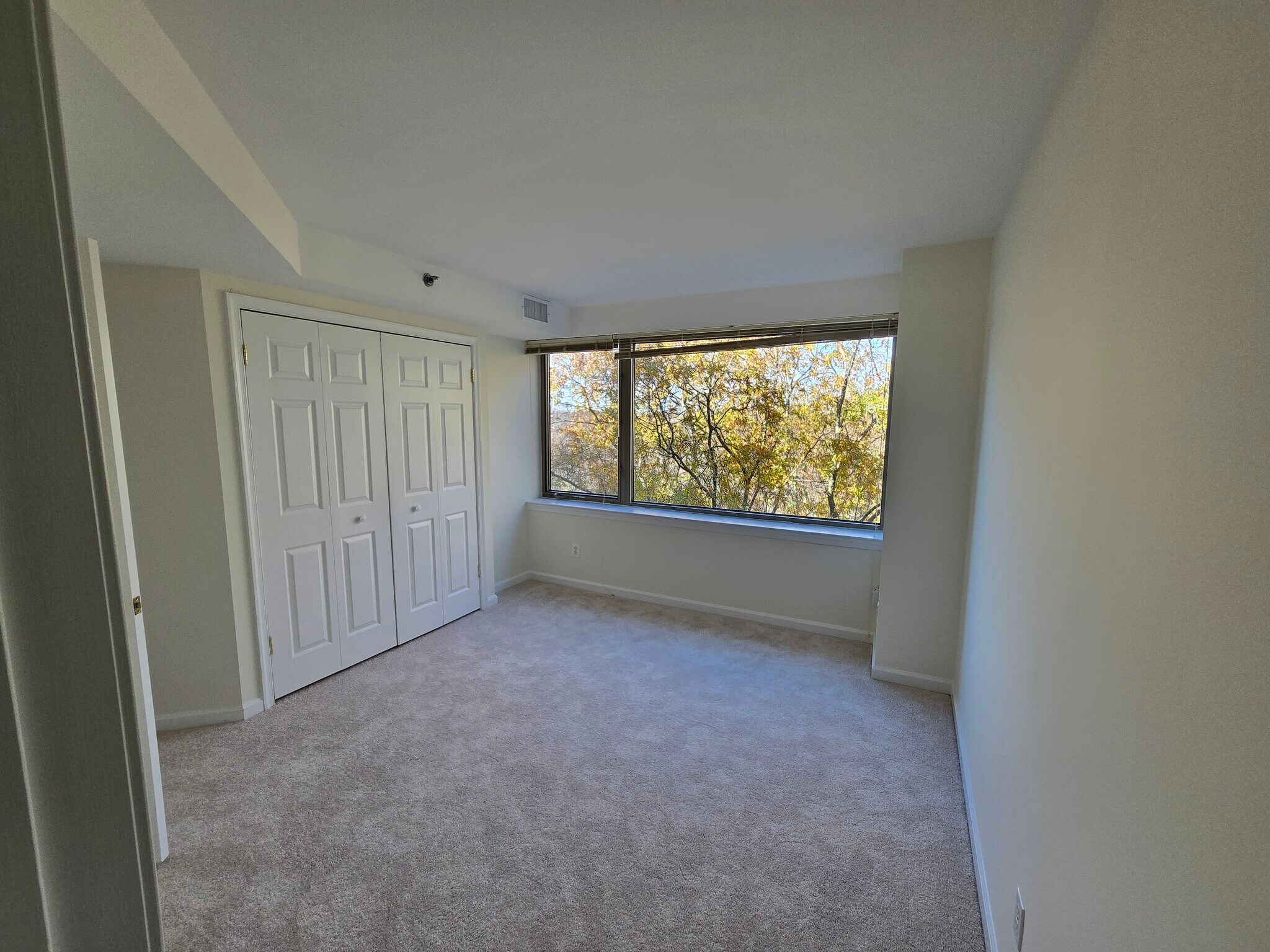 2nd Bedroom - 5450 Whitley Park Ter