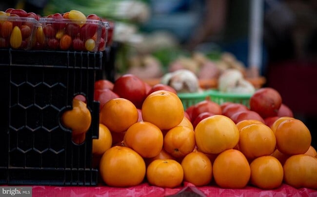 Building Photo - 432 E Luray Ave