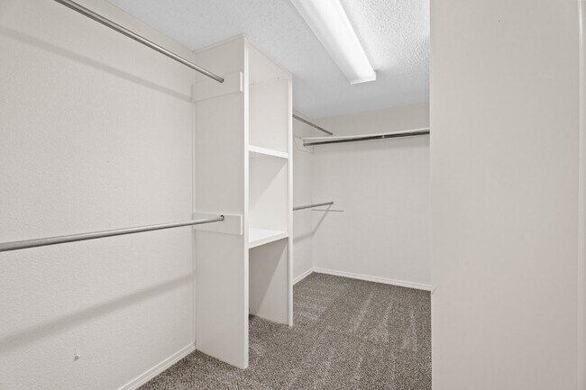 Building Photo - Cozy 3 Bed, 2 Bath with Backyard Deck