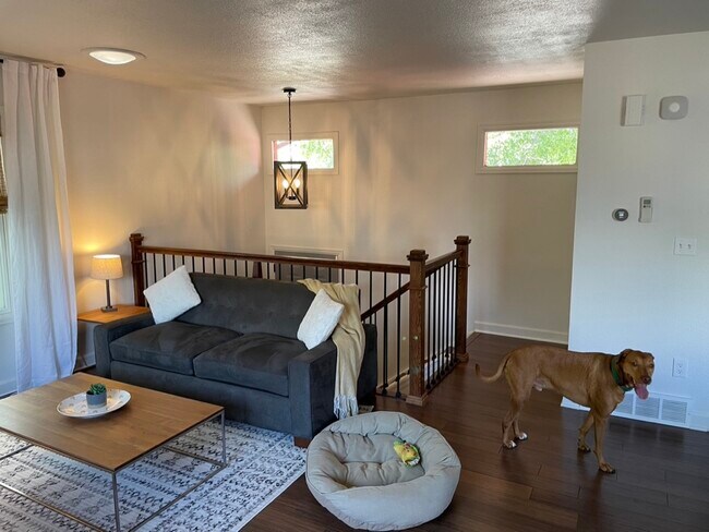 Living Room view 1 - 27 Centaur Ct