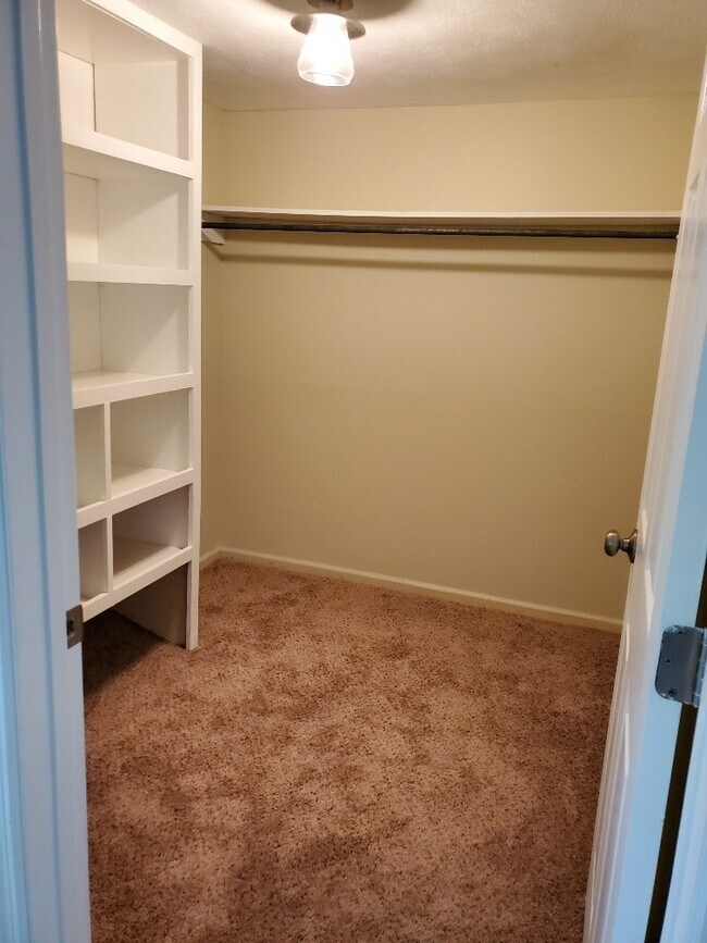 Building Photo - Newly Remodeled Mid Century Style Home!!