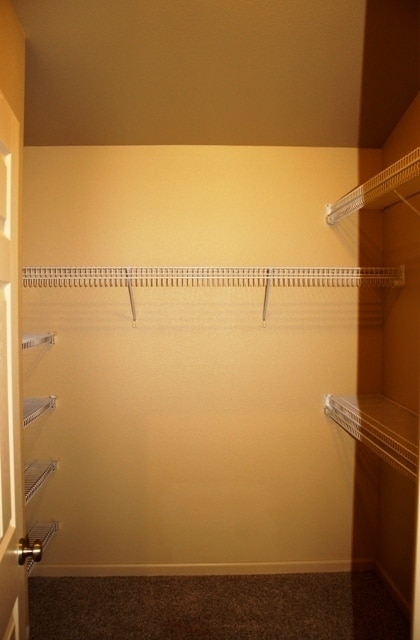 Building Photo - Rent Incentive $250.00 for First Full Mont...