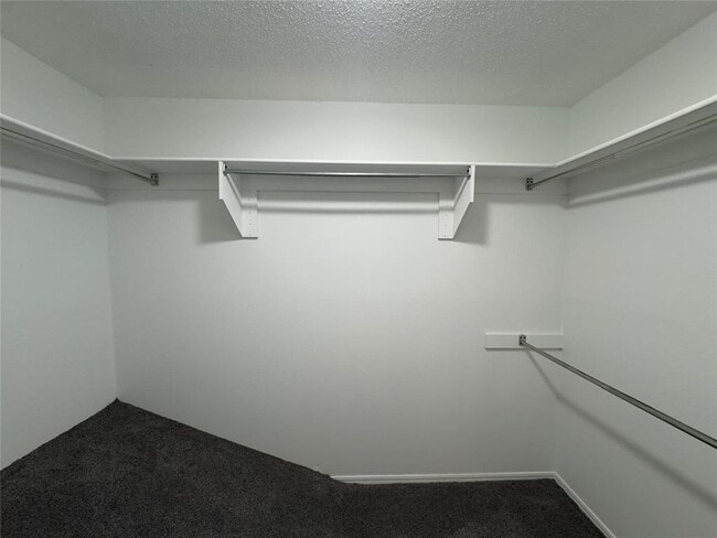 Building Photo - 3325 Brookhollow Ct