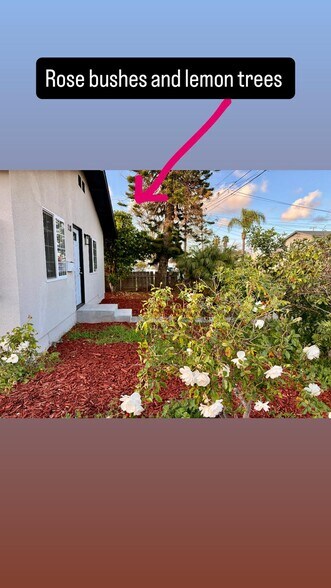 Building Photo - 118 Cedar Ave