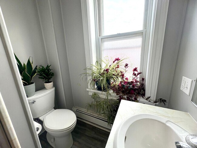 Building Photo - 1111 Walnut St