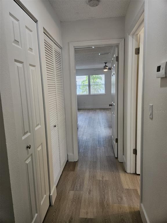 Building Photo - 339 Petrea Dr