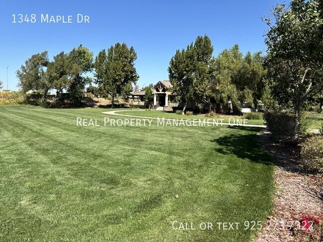 Building Photo - 1348 Maple Dr