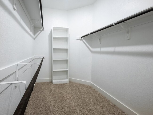 Building Photo - 2010 Bluff Oak Ct