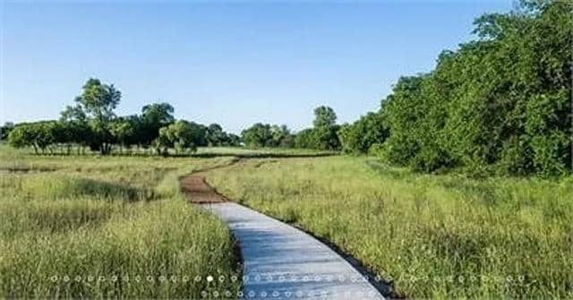 Building Photo - 1100 Lake Woodland Dr