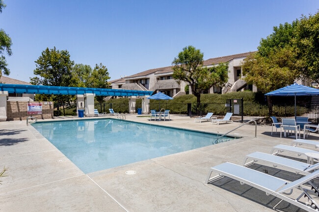 Pool - Vista Springs Apartments
