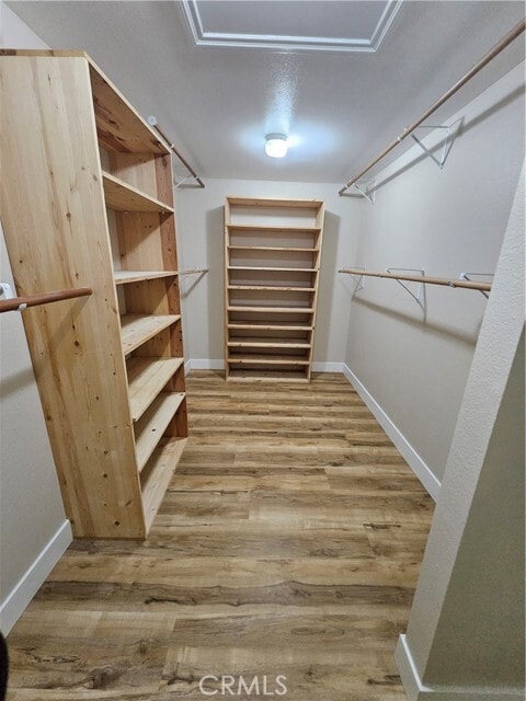 Building Photo - 4481 Wyngate Cir