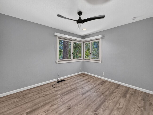 Building Photo - Gorgeous Single Level Home with Pool in Alamo Available Now!