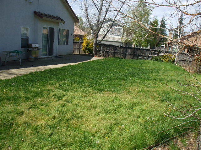 Building Photo - Fabulous Home on Large Corner Lot