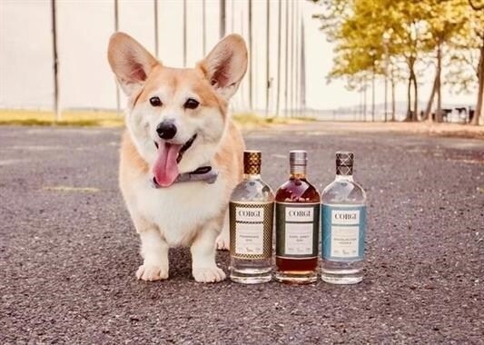 Building Photo - 260 Randolph Ave