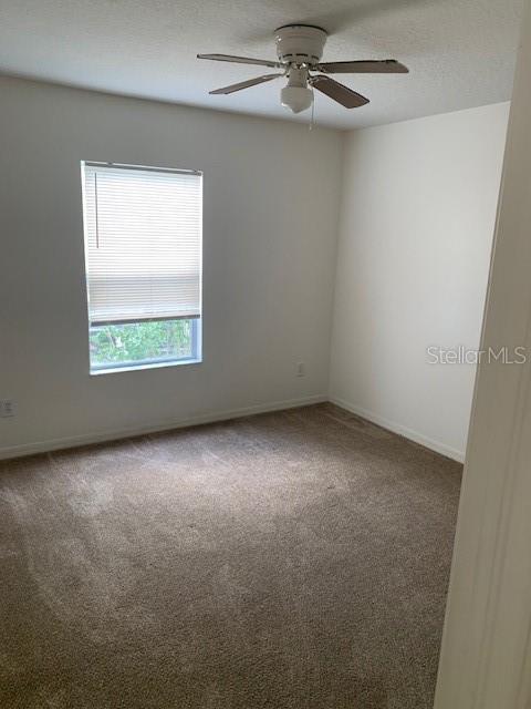 Building Photo - 13516 Mango Bay Dr