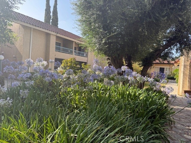 Primary Photo - 18307 Burbank Blvd