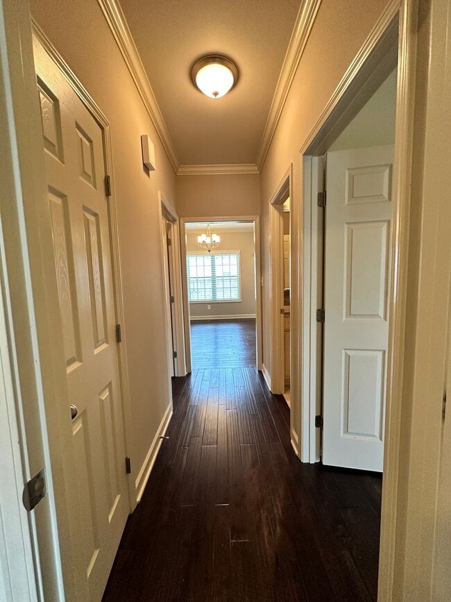 Building Photo - Stunning 3 Bedroom 2 Bath House