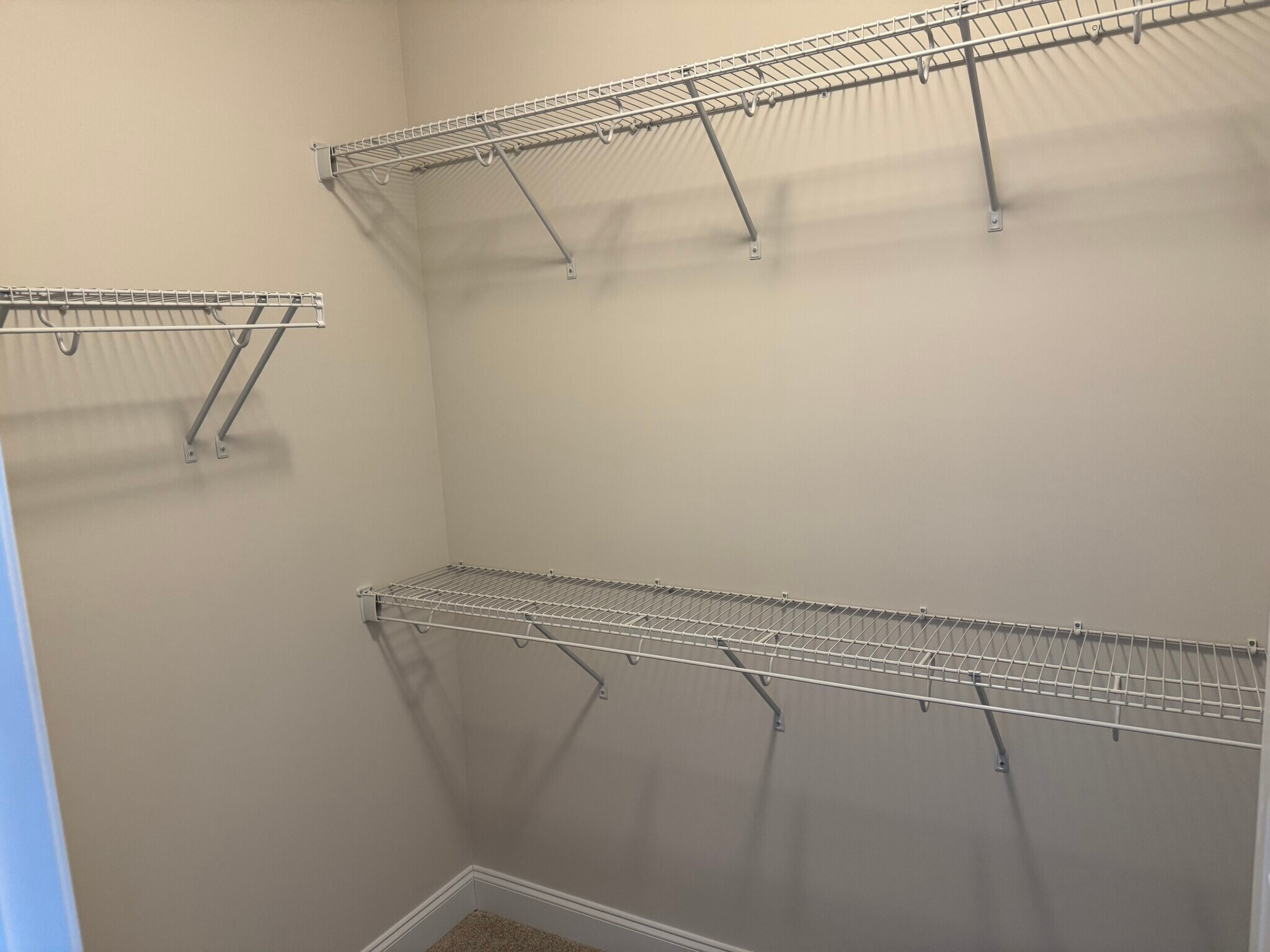 Bedroom #3 Walk-In Closet - 4406 Dominion Forest Cir