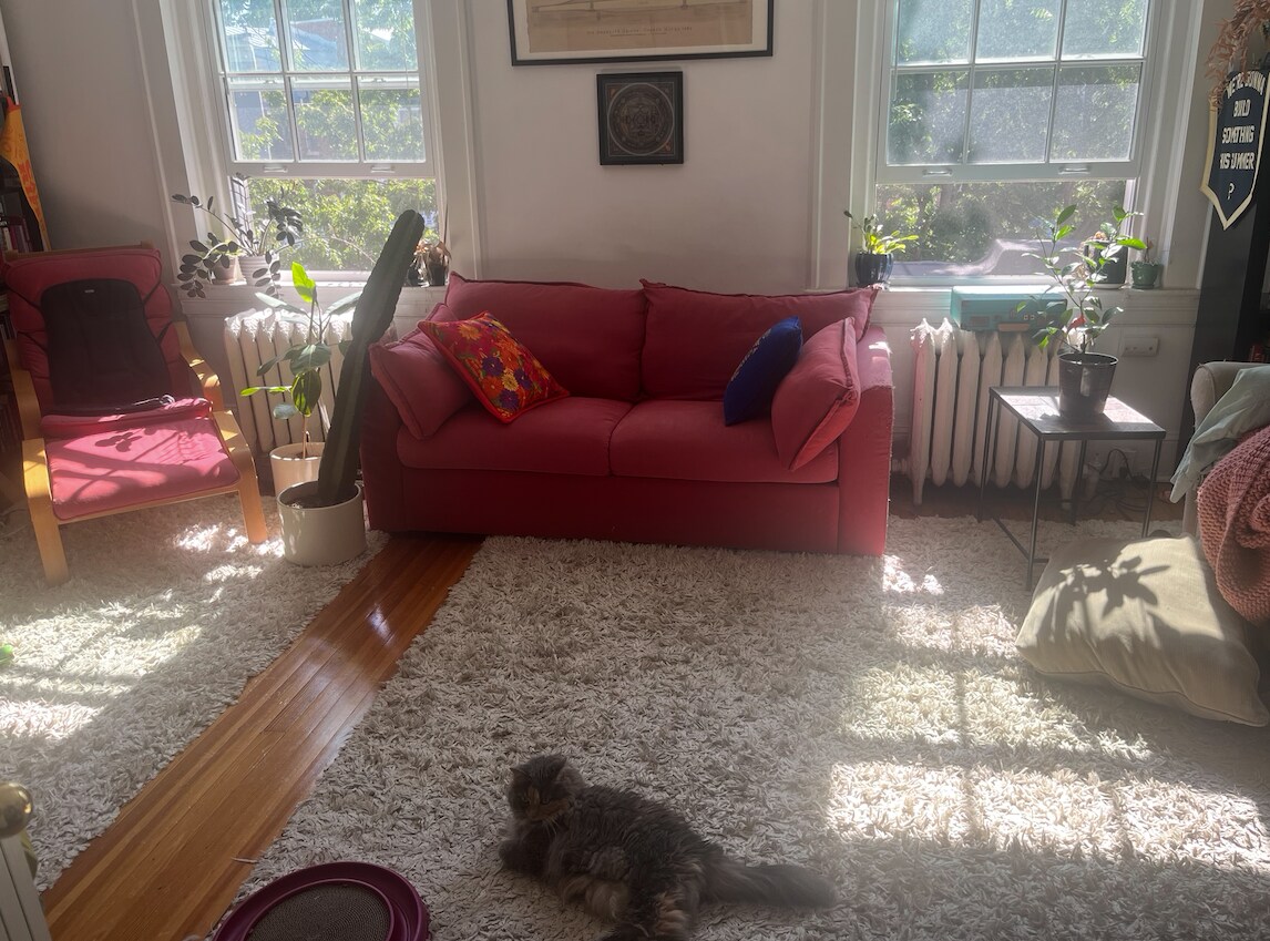 Living Room - 3210 17th St NW