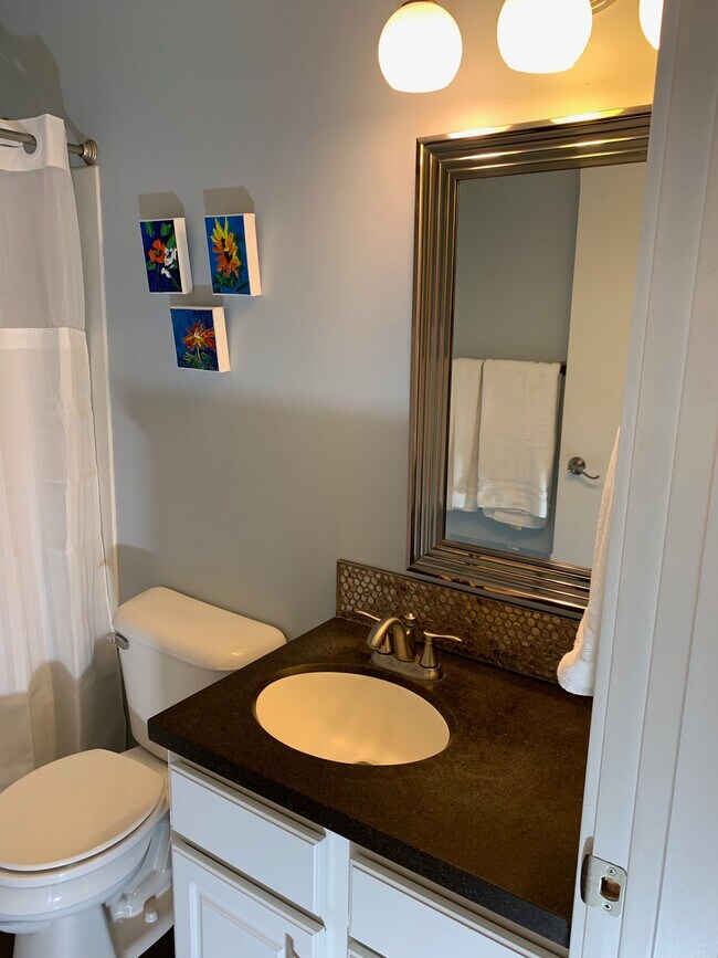 Bathroom - 3815 Cuming St