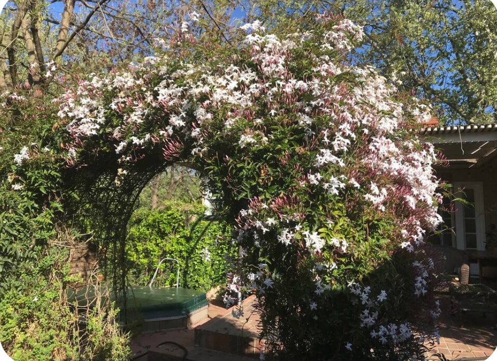 Garden adjacent to studio - 4000 McKinley Blvd