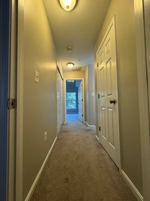 Hallway - 61 Harbour Heights Dr