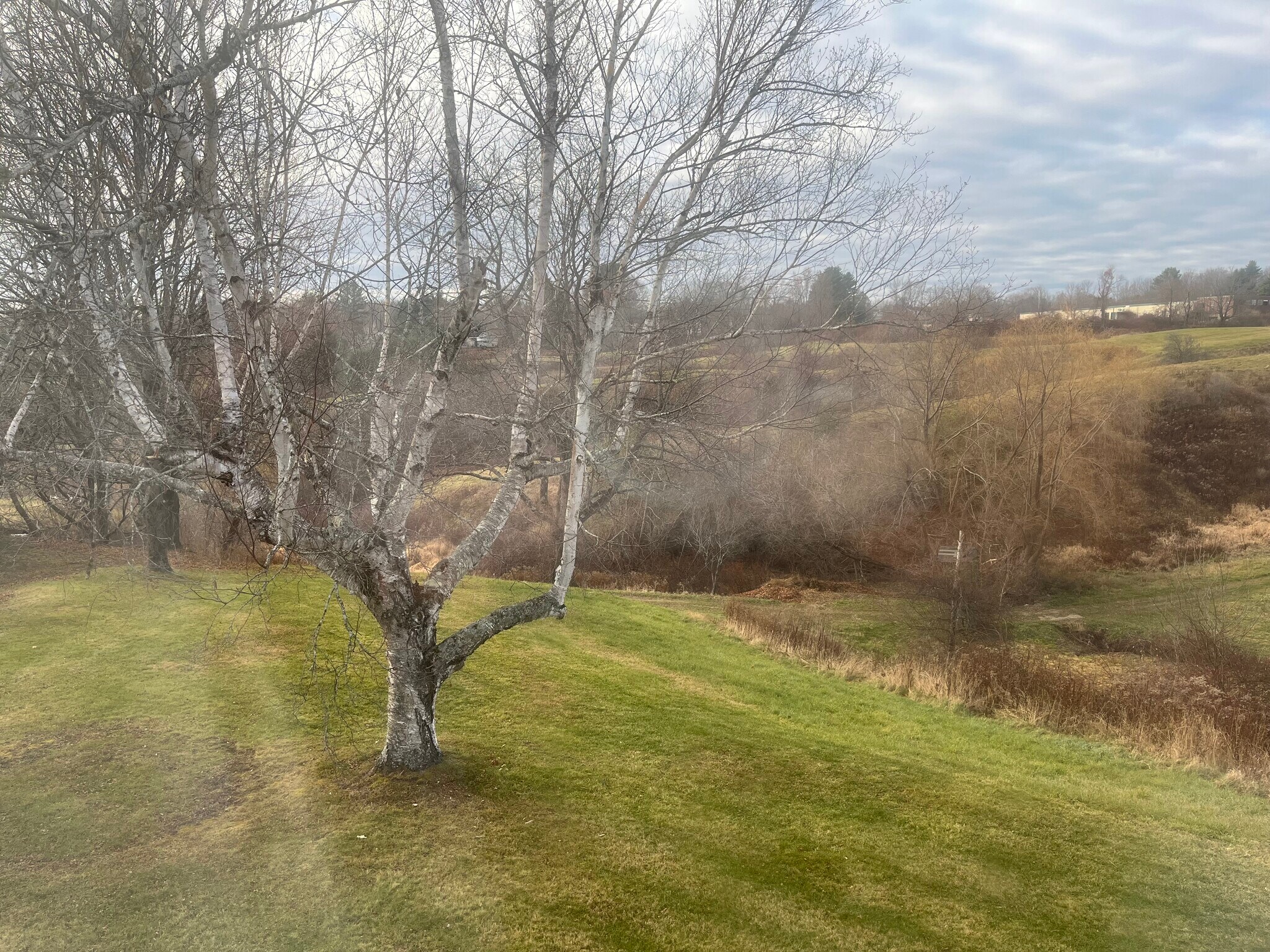 Building Photo - 9 Dunbar Dr