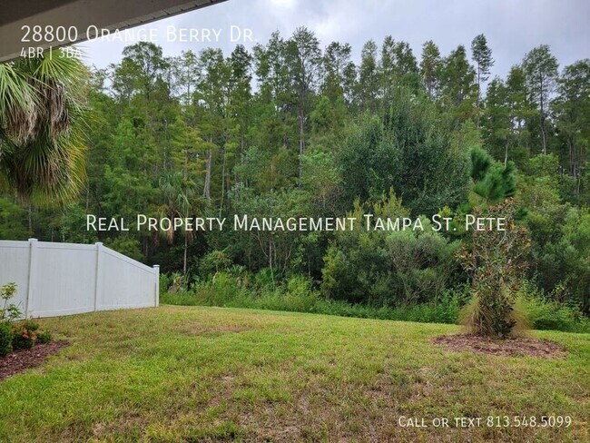 Building Photo - 28800 Orange Berry Dr