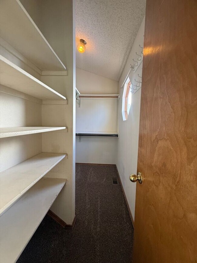 Building Photo - Beautiful Briargate Living: 5 Bedrooms, Walk-In Closets & 5-Piece Suite