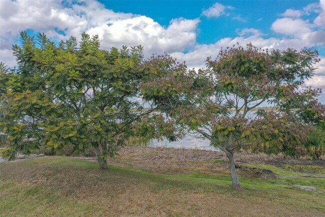 Building Photo - 4127 Island Lakes Dr