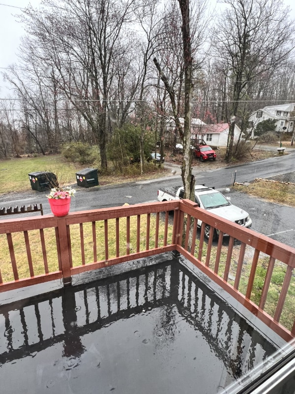 Building Photo - 2 Albert Ln