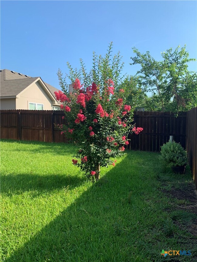 Building Photo - 1113 Branchwood Way