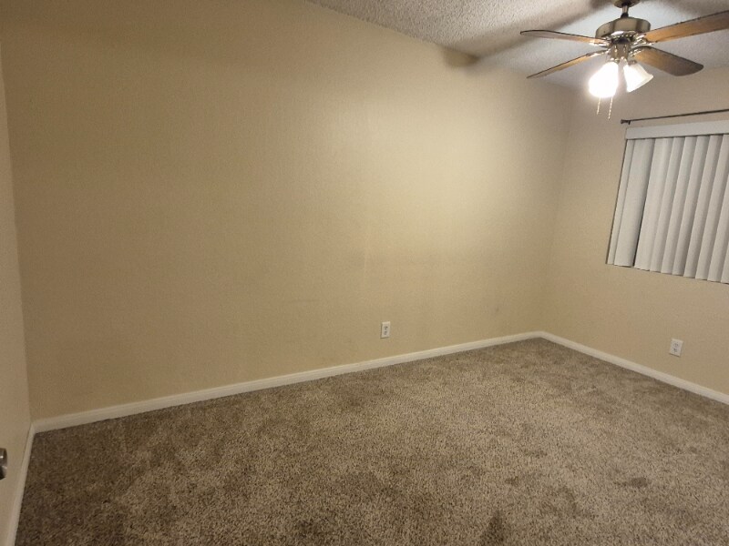 Building Photo - 155 Tiger Ln