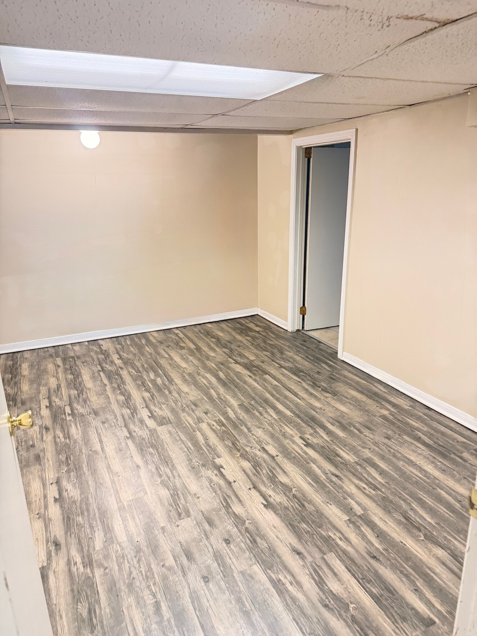 7 Family Room / Guess - 9351 Kennedy Ave