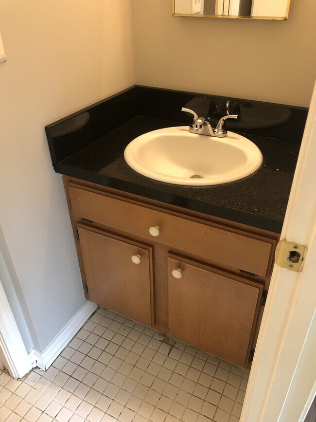 Building Photo - 5004 Winding Spring Pl