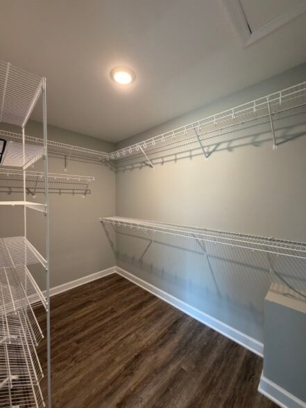 Walk-in Master Closet - 1373 Palomino Trl