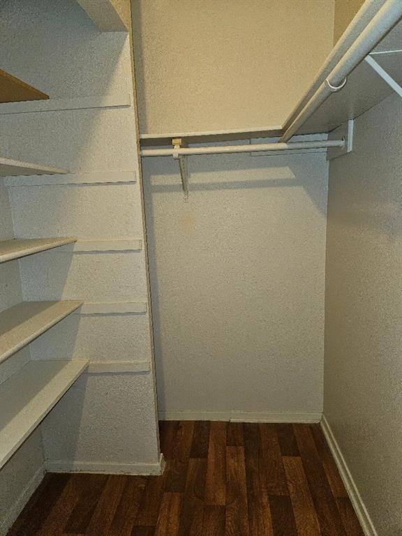 Building Photo - 805 Lexington Rd