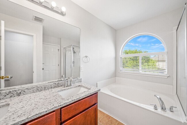 Building Photo - Alamo Ranch Rental!