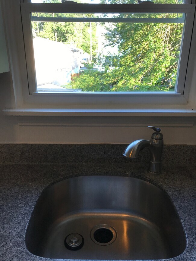 View from the kitchen sink - 85 Wilson Ave