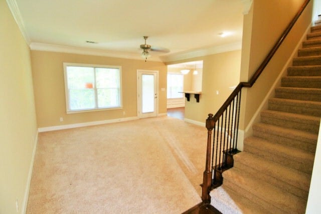 Building Photo - 833 Erika Ln
